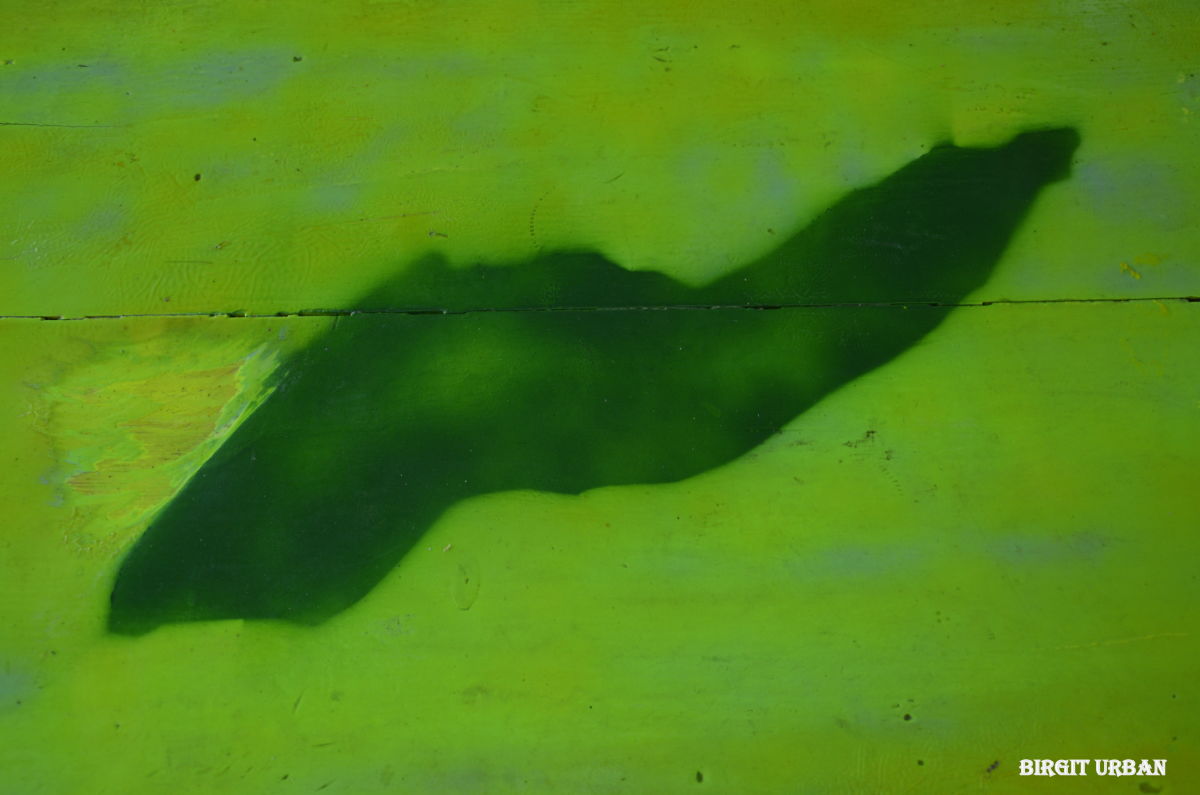 Ημέρες Ικαρίας στις Βρυξέλλες 04 – 07/11 2015 | Ikarian-Days in Brussels 04 – 07/11 2015