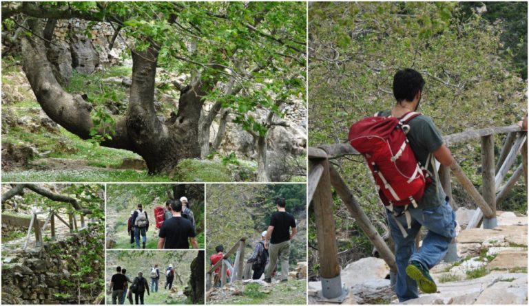 Συνεργασία Δήμου & συλλόγων στον καθαρισμό μονοπατιού Ακαμάτρας – Δρούτσουλα