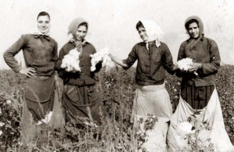 Δελτίο Τύπου ΠΒΑ για την Παγκόσμια Ημέρα Ελληνίδας Αγρότισσας