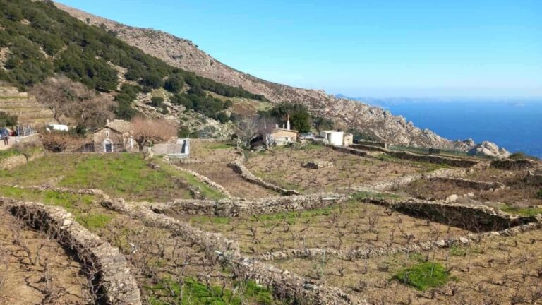 Μεγάλο παραδοσιακό ημερήσιο πανηγύρι τον Δεκαπενταύγουστο στην Κάμπα με τον Γιάννη Ρούσσο