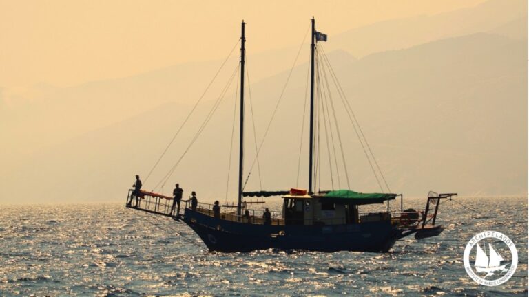 Μία θαλάσσια περιοχή παγκόσμιας περιβαλλοντικής σημασίας με 7 είδη θαλάσσιων θηλαστικών