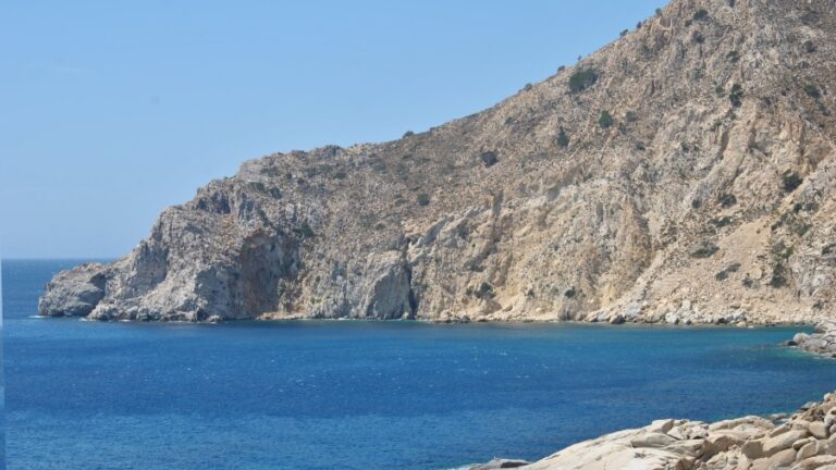 Υπό Πλήρη Έλεγχο Τέθηκε Εστία Φωτιάς στα Ελληνικά, στη Μαύρη Καρκιναγρίου
