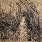 Art in Residency Program_ Πρόγραμμα Φιλοξενίας Καλλιτεχνών του Artemis Studios στον Να Ικαρίας (1)