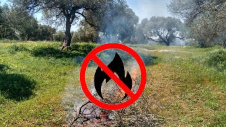 Ξεκινά επίσημα η αντιπυρική περίοδος – Οδηγίες από την Πυροσβεστική Υπηρεσία