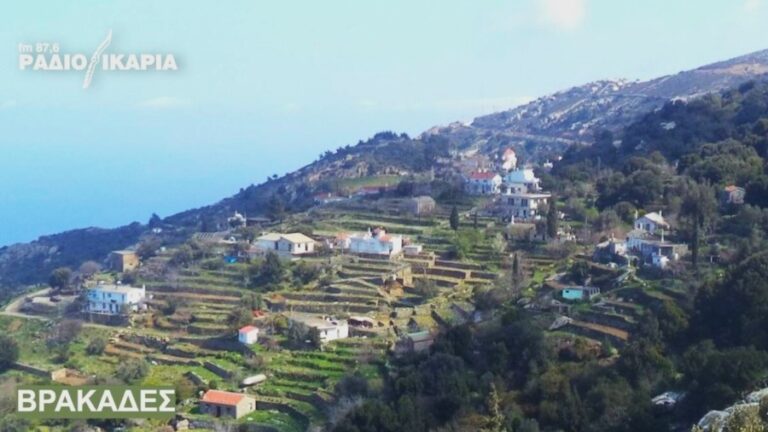 Κοπή πίτας και εκλογές για νέο ξεκίνημα του Συνδέσμου Βορειοδυτικής Ικαρίας στην Αθήνα
