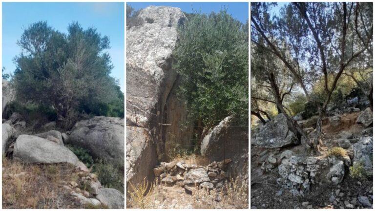 Αγροτική Γη: Αιώνες μόχθου και σύγχρονες προκλήσεις για την αναγνώρισή της