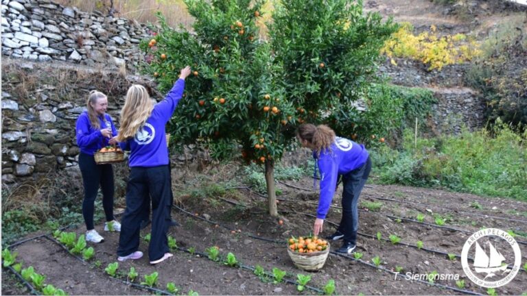 Αυτάρκεια σε κηπευτικά προϊόντα και φρούτα με φυσικές μεθόδους καλλιέργειας και πολύ μεράκι