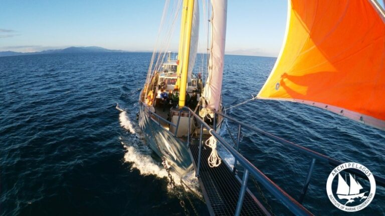 Η σεισμική δραστηριότητα στο Αιγαίο υπενθυμίζει τη δύναμη της φύσης και σεβασμό στο περιβάλλον