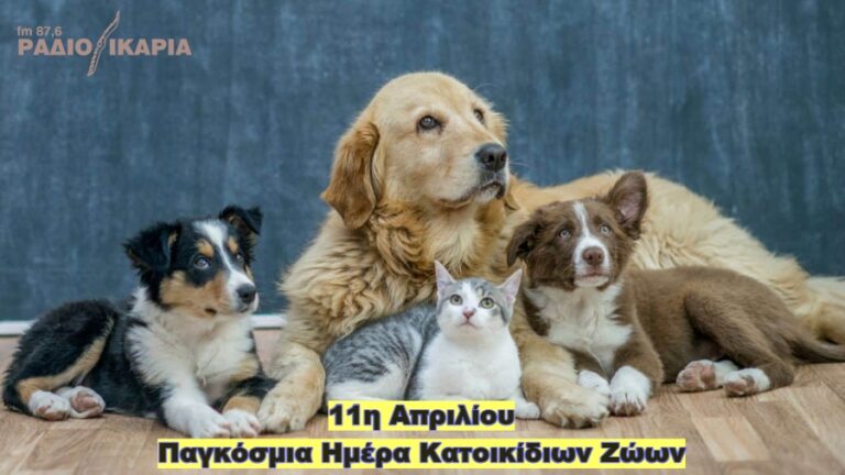 Παγκόσμια Ημέρα Κατοικίδιων Ζώων: Ευκαιρία για ενίσχυση της φιλοζωικής συνείδησης