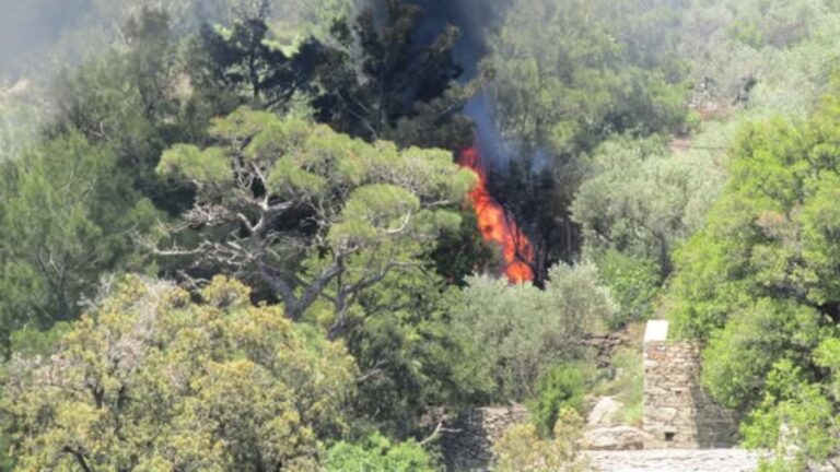 Μικρής έκτασης πυρκαγιά στον Άγιο Δημήτριο Ραχών τέθηκε γρήγορα  υπό πλήρη έλεγχο
