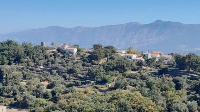 Κάλεσμα του Δήμου Ικαρίας για εθελοντική επιτήρηση των δασικών εκτάσεων