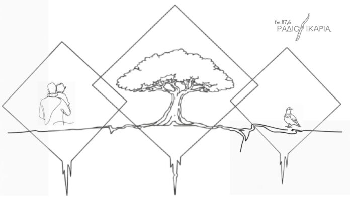 Quercus ilex in the Diamond of Justice (6)