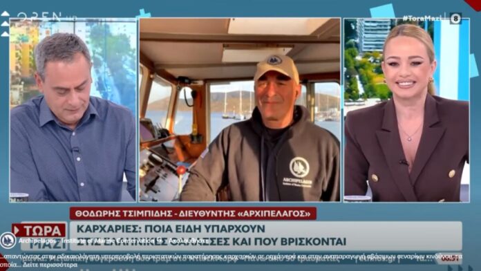 The Director of the “Archipelagos” Institute for Marine Conservation