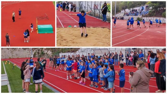 Track and Field Academies Festival