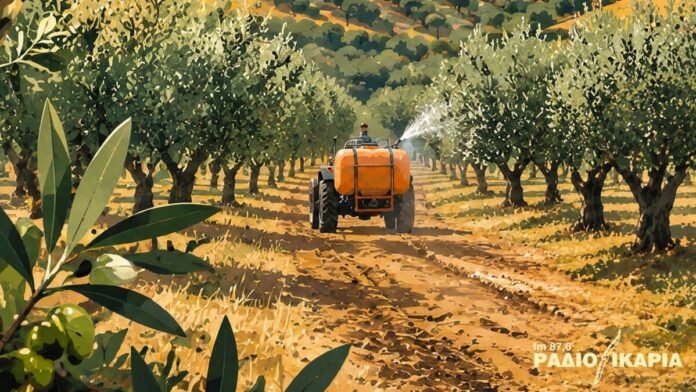 olive fruit fly control program (1)