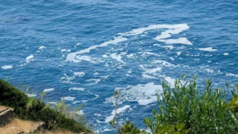Ενημερωτική συγκέντρωση στον Εύδηλο για τα αποτελέσματα των περιβαλλοντικών ελέγχων του ΠΑΚΟΕ